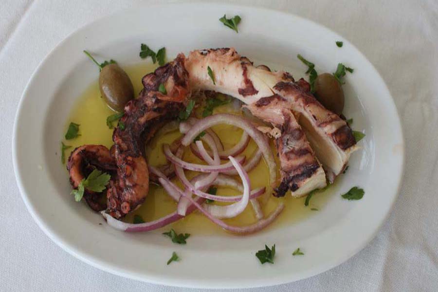 xtapodi