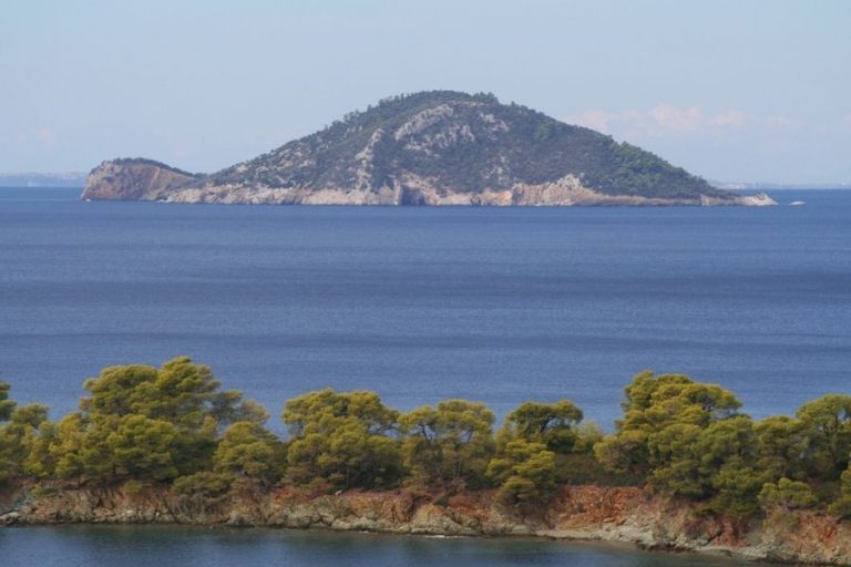 Κέλυφος-Χελώνα