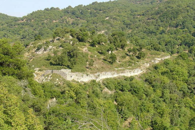 Θεοφύλακτο Κάστρο Νέπωσι